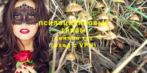 винт Беломорск