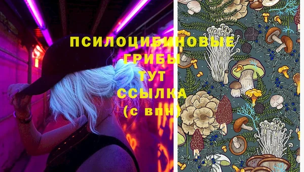 ECSTASY Белоозёрский
