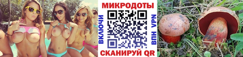 Псилоцибиновые грибы Psilocybe  Армавир 