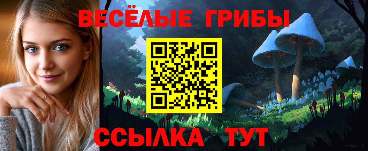 Псилоцибиновые грибы Psilocybine cubensis  Галлюциногенные грибы Psilocybe  Армавир  Вход с VPN 